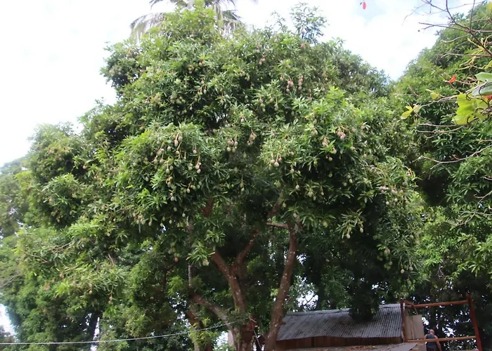La Sirenita - Ometepe